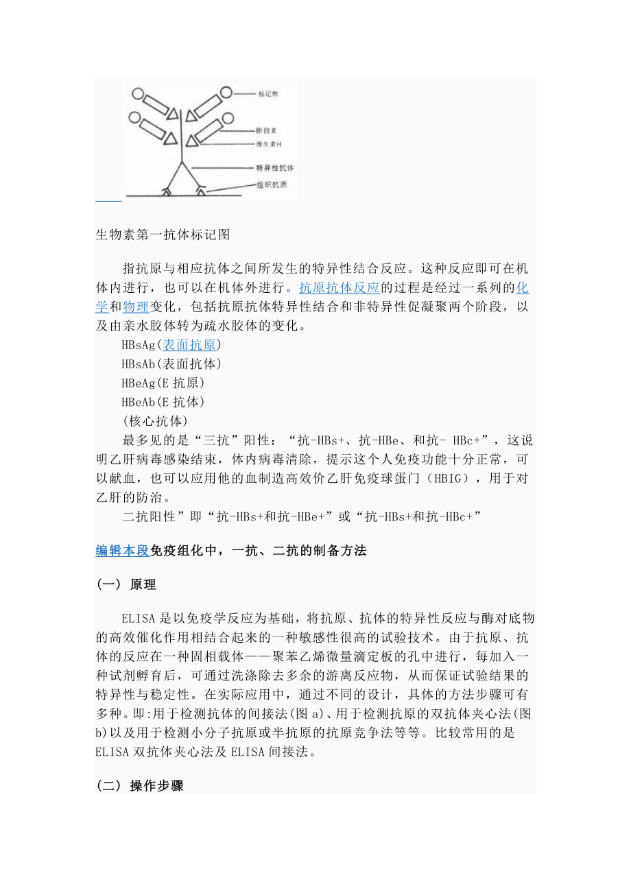 第一抗体第二抗体.doc_第2页