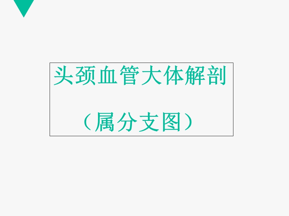 医学CTA头颈血管解剖分段培训ppt课件.ppt_第2页