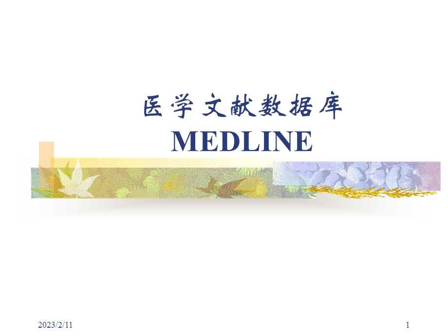 医学文献数据库MEDLINE课件.ppt_第1页