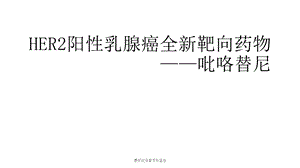 吡咯替尼科室会课件.pptx