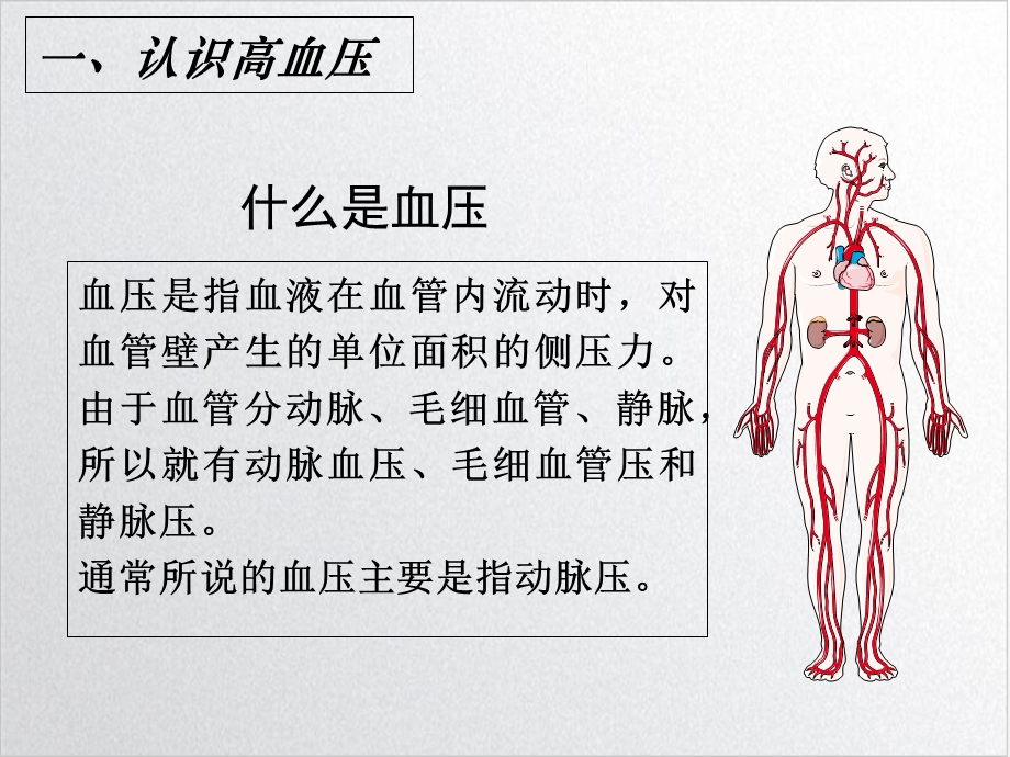 高血压中医健康教育PPT幻灯片课件.ppt_第3页