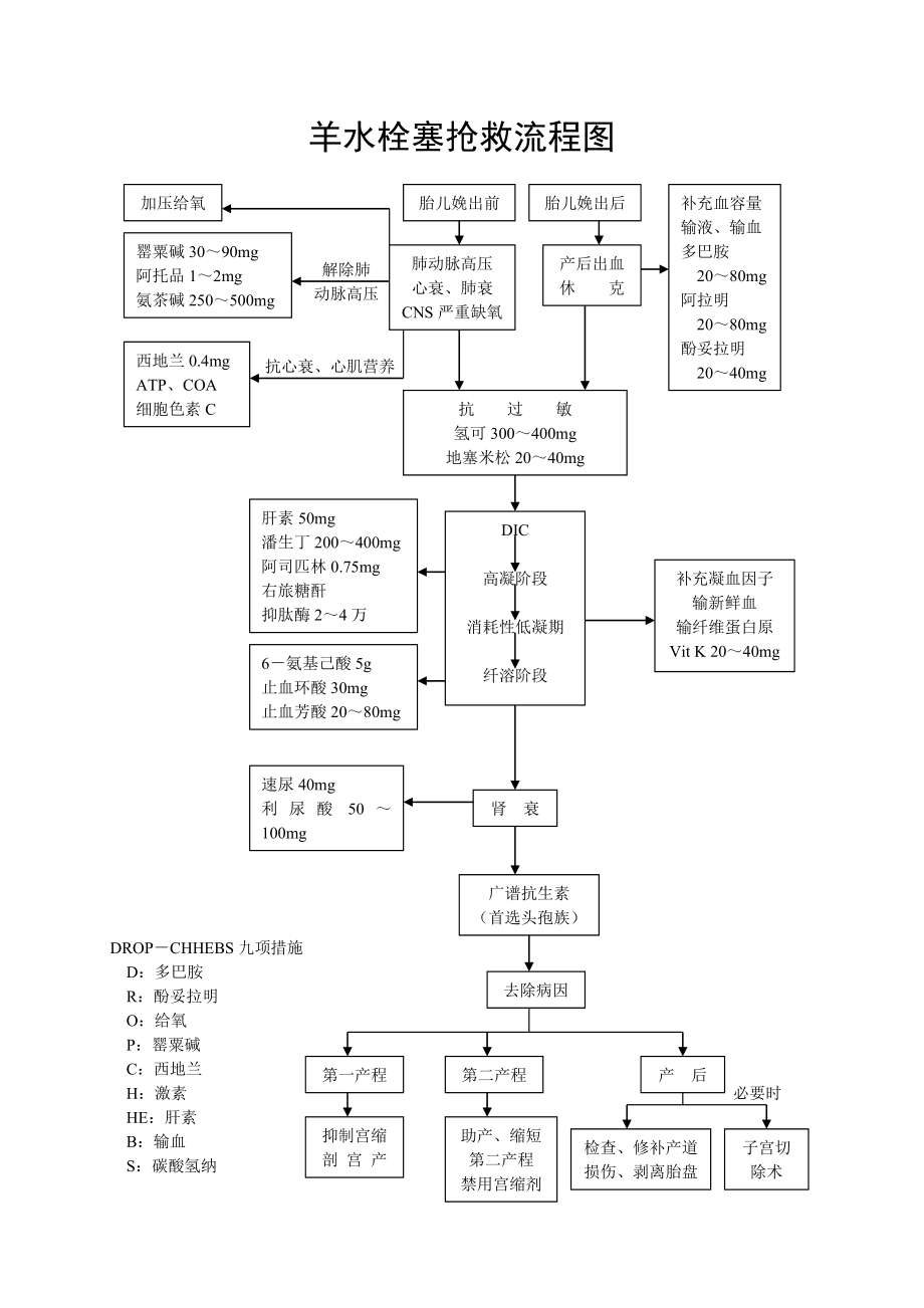 产后出血抢救流程图.doc_第3页