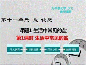 化学生活中常见的盐ppt课件《人教版》九年级下学期.pptx