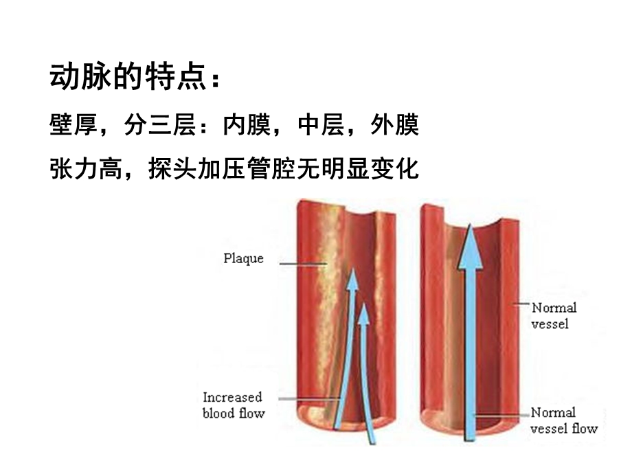 医学下肢血管超声诊断主题讲座ppt课件.ppt_第3页