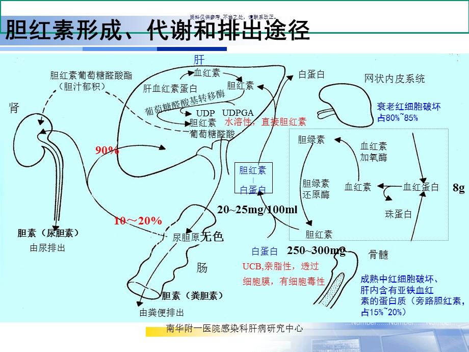 黄疸诊断及其鉴别诊断课件.ppt_第2页