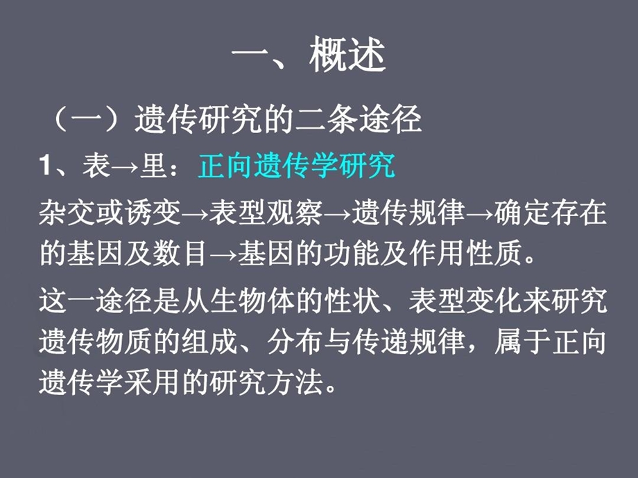 反向遗传学及其相关技术课件.ppt_第3页