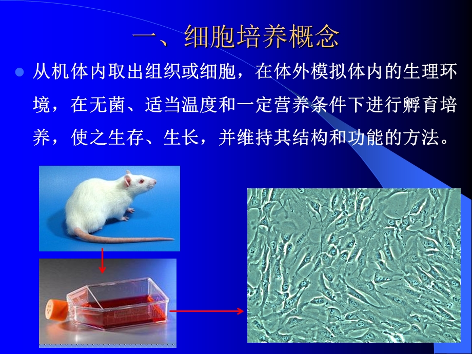 医学细胞培养技术培训ppt课件.ppt_第2页