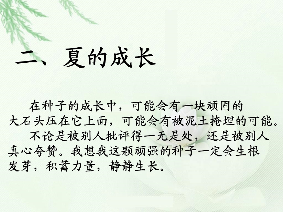 青年教师成长历程课件.ppt_第3页