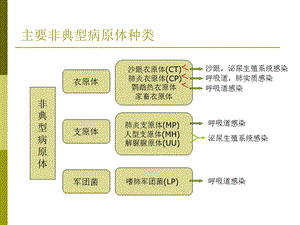 非典型病原体感染的诊断治疗课件.ppt