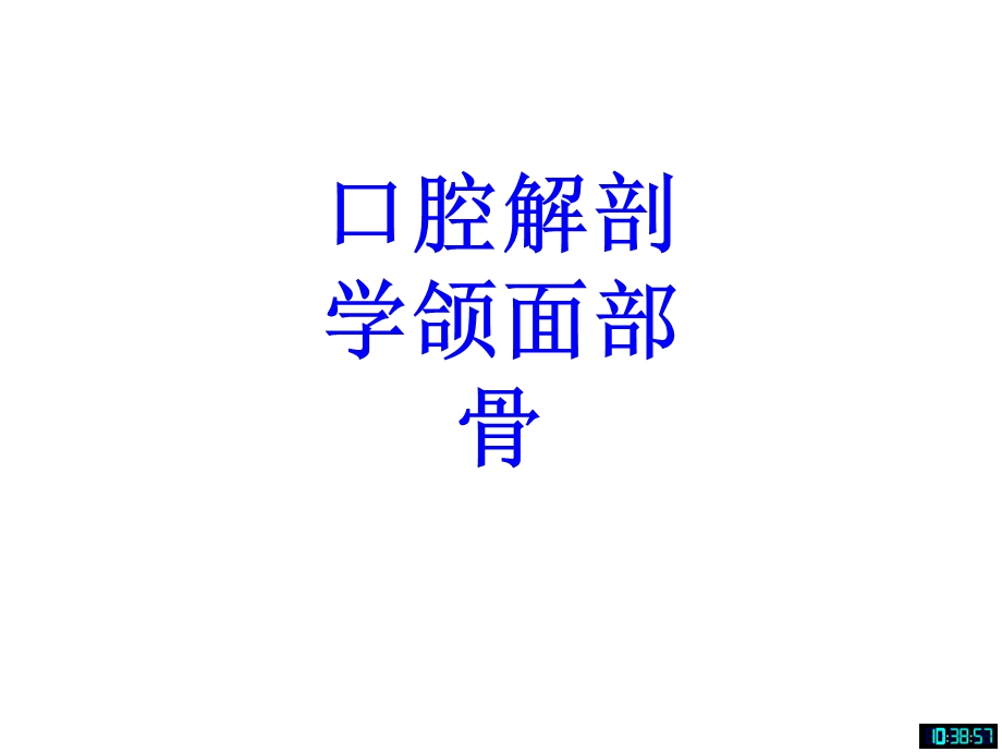 口腔解剖学颌面部骨培训ppt课件.ppt_第1页