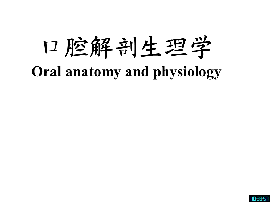 口腔解剖学颌面部骨培训ppt课件.ppt_第2页