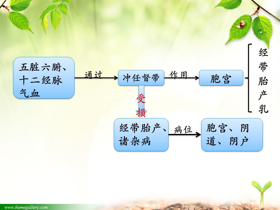 妇科疾病的病理特点课件.ppt_第2页