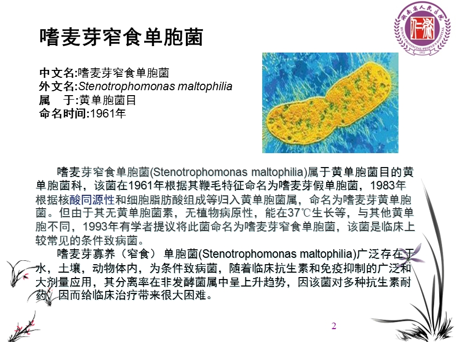 嗜麦芽的临床诊治课件.ppt_第2页