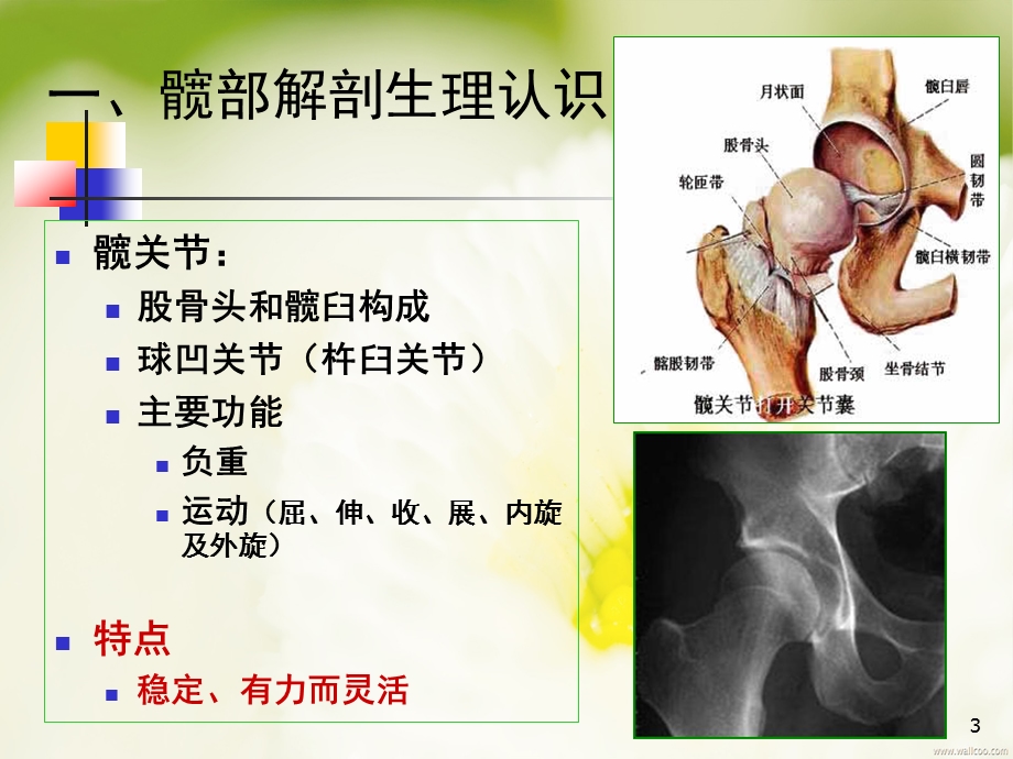 髋关节置换术后的健康宣教精品课件.pptx_第3页