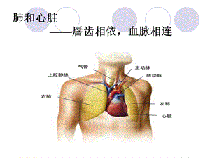 医学ppt课件先天性心脏病合并肺动脉高压.ppt