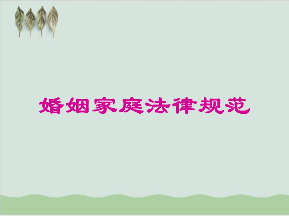 婚姻家庭法律规范课件.ppt_第1页