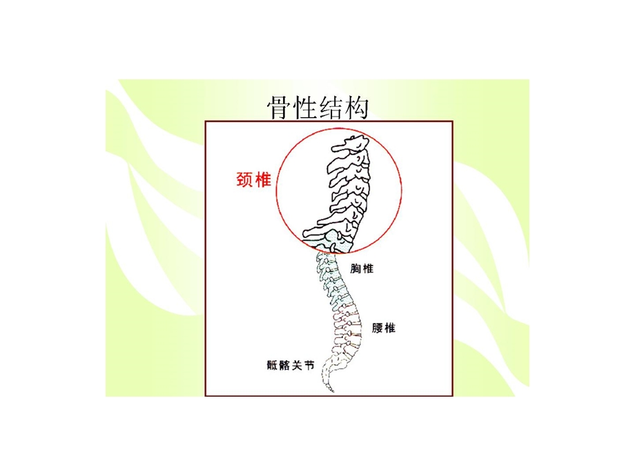 颈椎病图解 课件.ppt_第2页