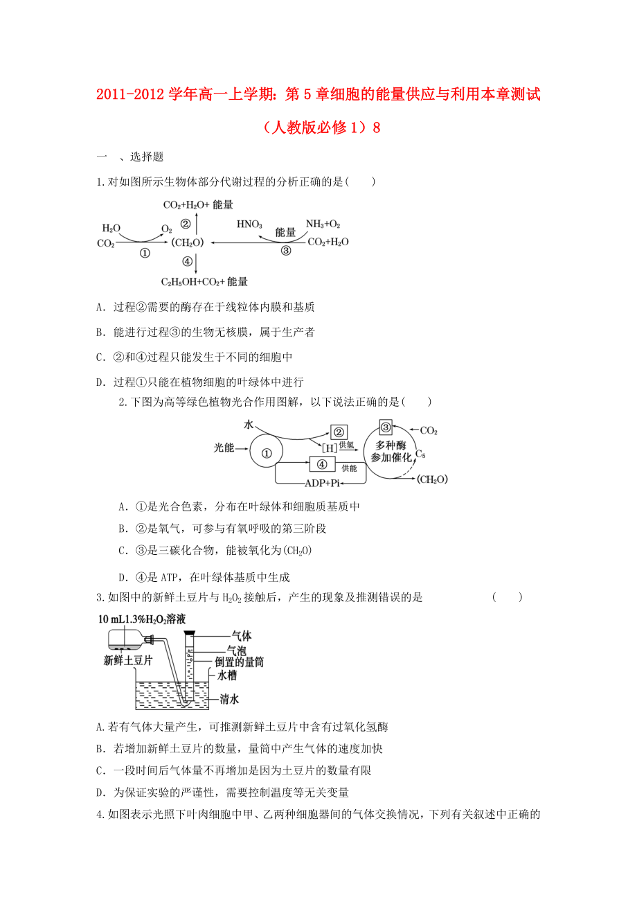 光合与呼吸习题.doc_第1页