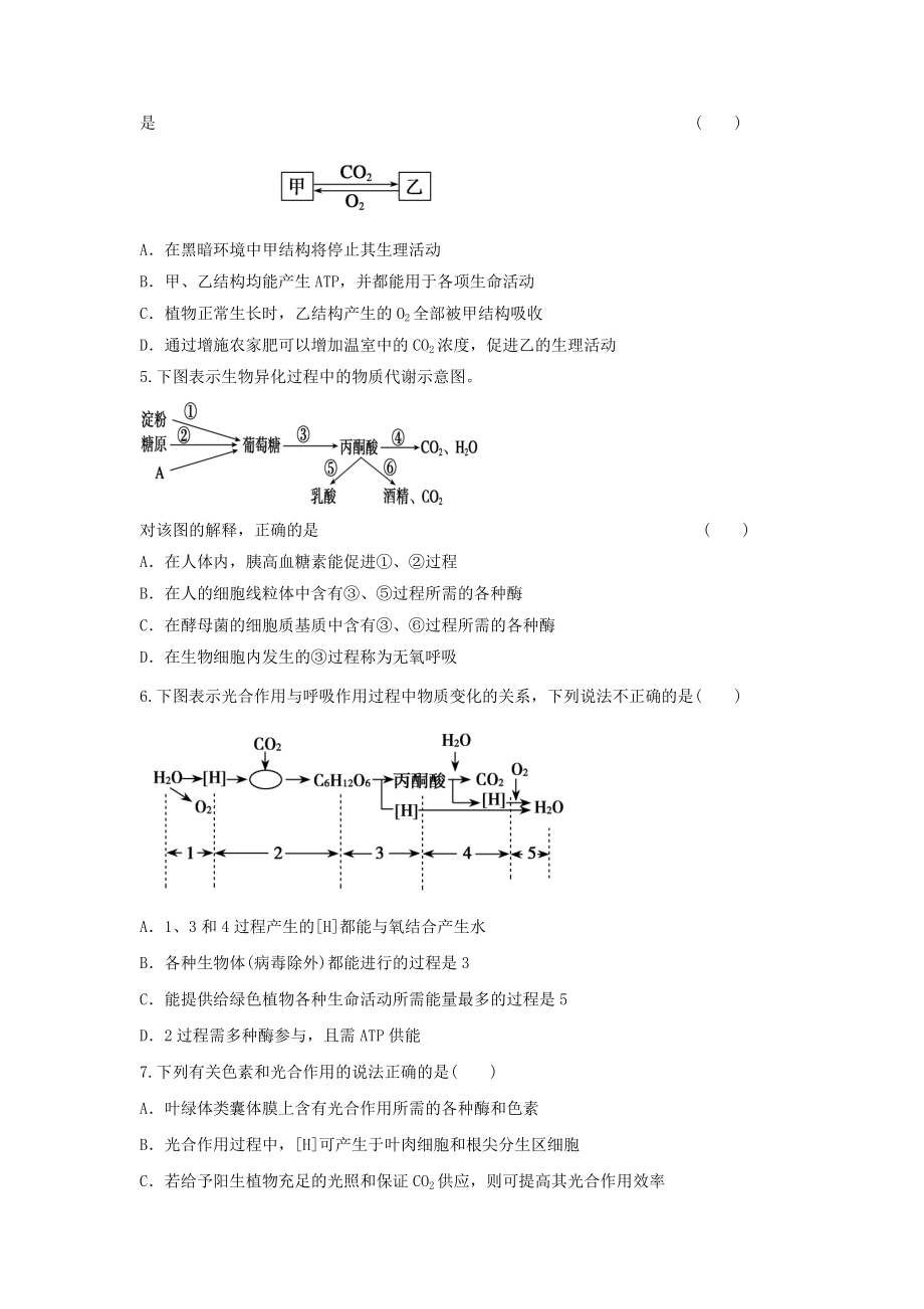 光合与呼吸习题.doc_第2页