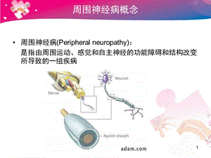 周围神经病概述课件.ppt