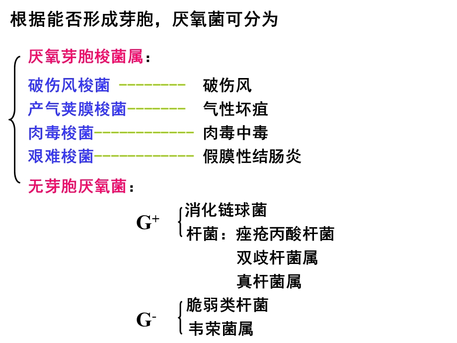 厌氧性细菌分析课件.ppt_第3页