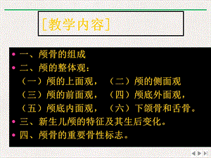 颅骨及其连结中职课程课件.pptx