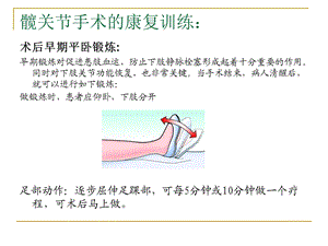 髋关节置换的康复训练方法课件.ppt