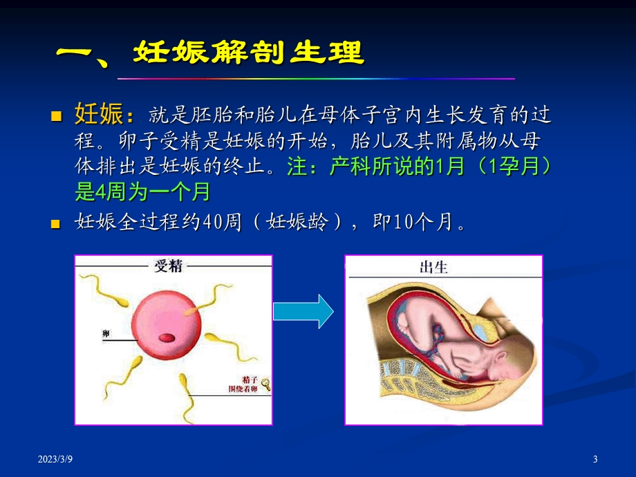 妇产科超声检查讲解培训ppt课件.ppt_第3页