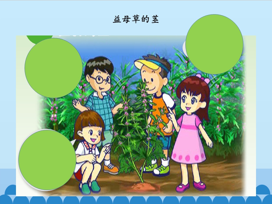 四年级科学上册 第3课《植物的茎》教学ppt课件.pptx_第3页