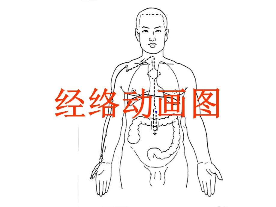 可爱的经络动画图课件.ppt_第1页