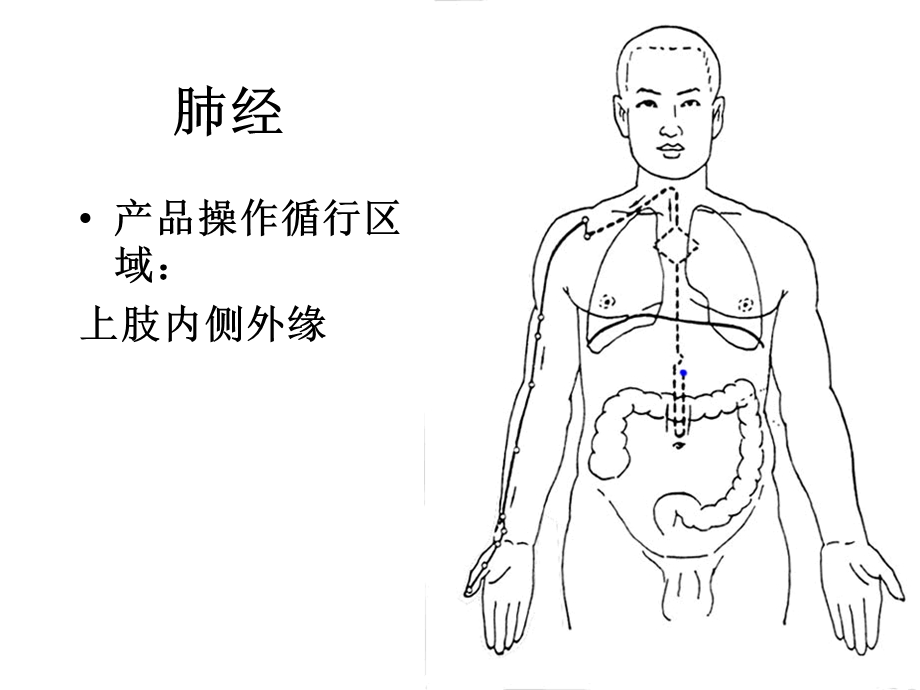 可爱的经络动画图课件.ppt_第3页