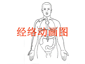 可爱的经络动画图课件.ppt