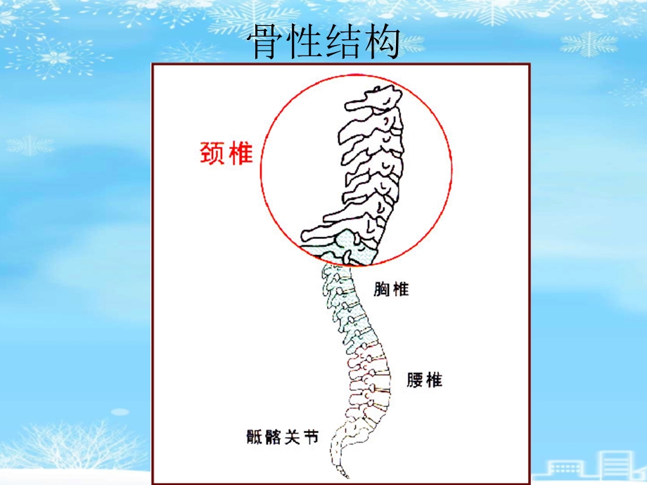 颈椎病的健康教育2021完整版课件.ppt_第3页