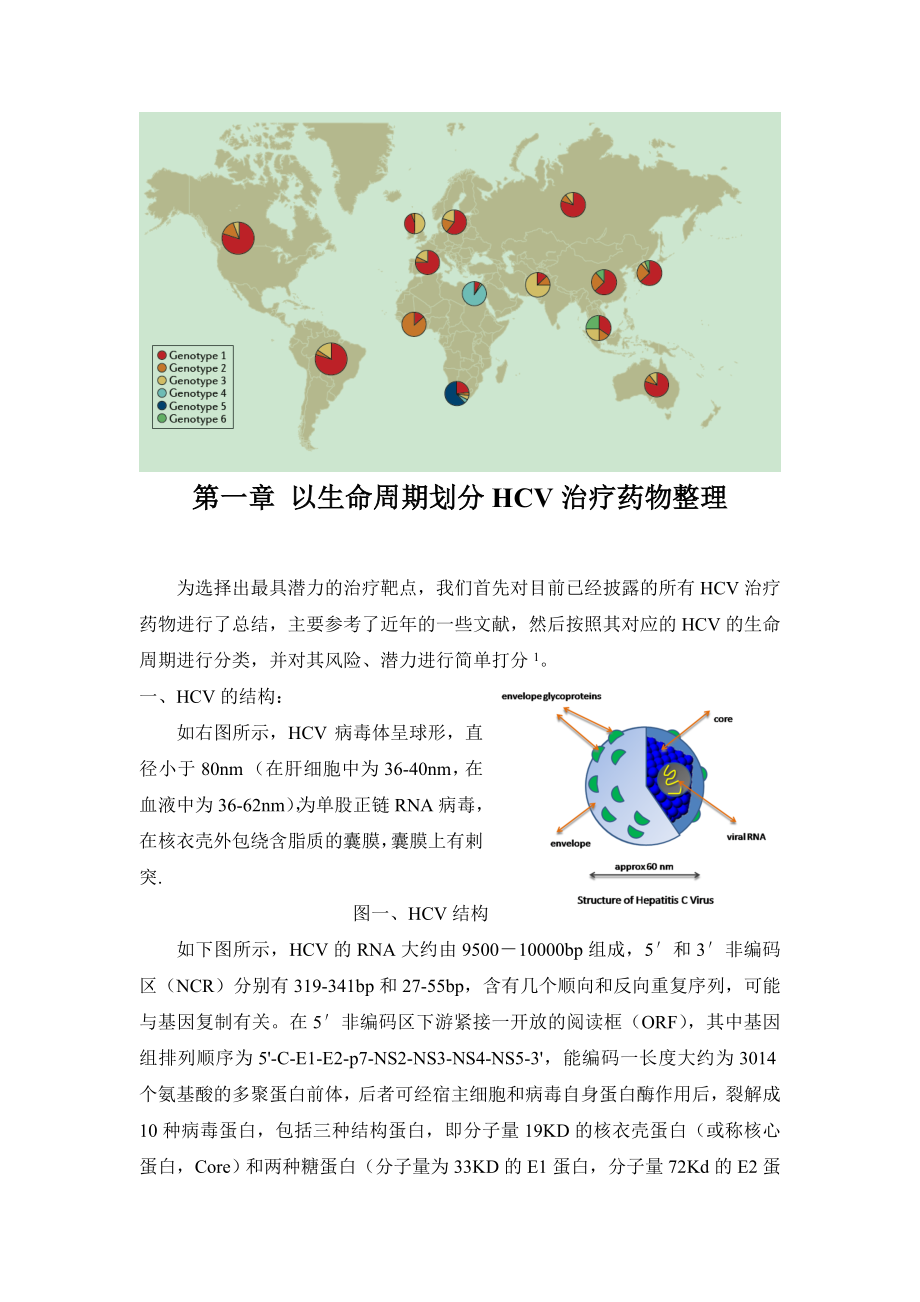 丙型肝炎治疗药物研究与设计.doc_第3页