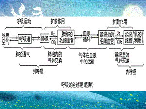 呼吸困难患者的紧急护理课件.ppt