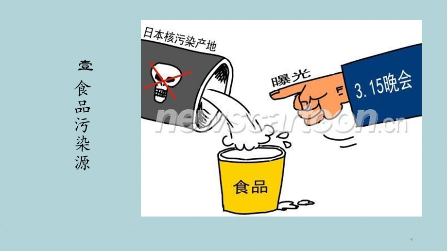 食品污染课件.ppt_第3页