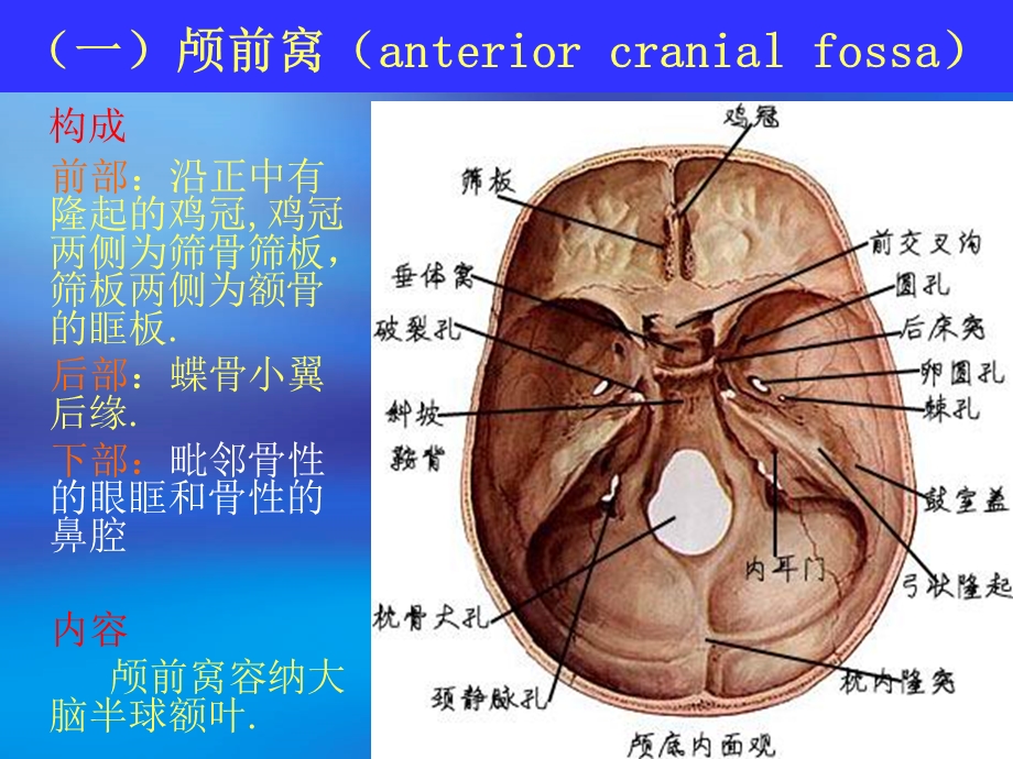 多颅神经损害课件.ppt_第3页