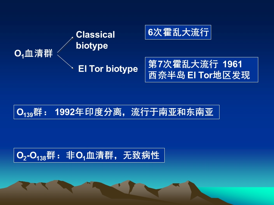 医学微生物学 第十一章 弧菌属 (Vibrio)课件.ppt_第3页