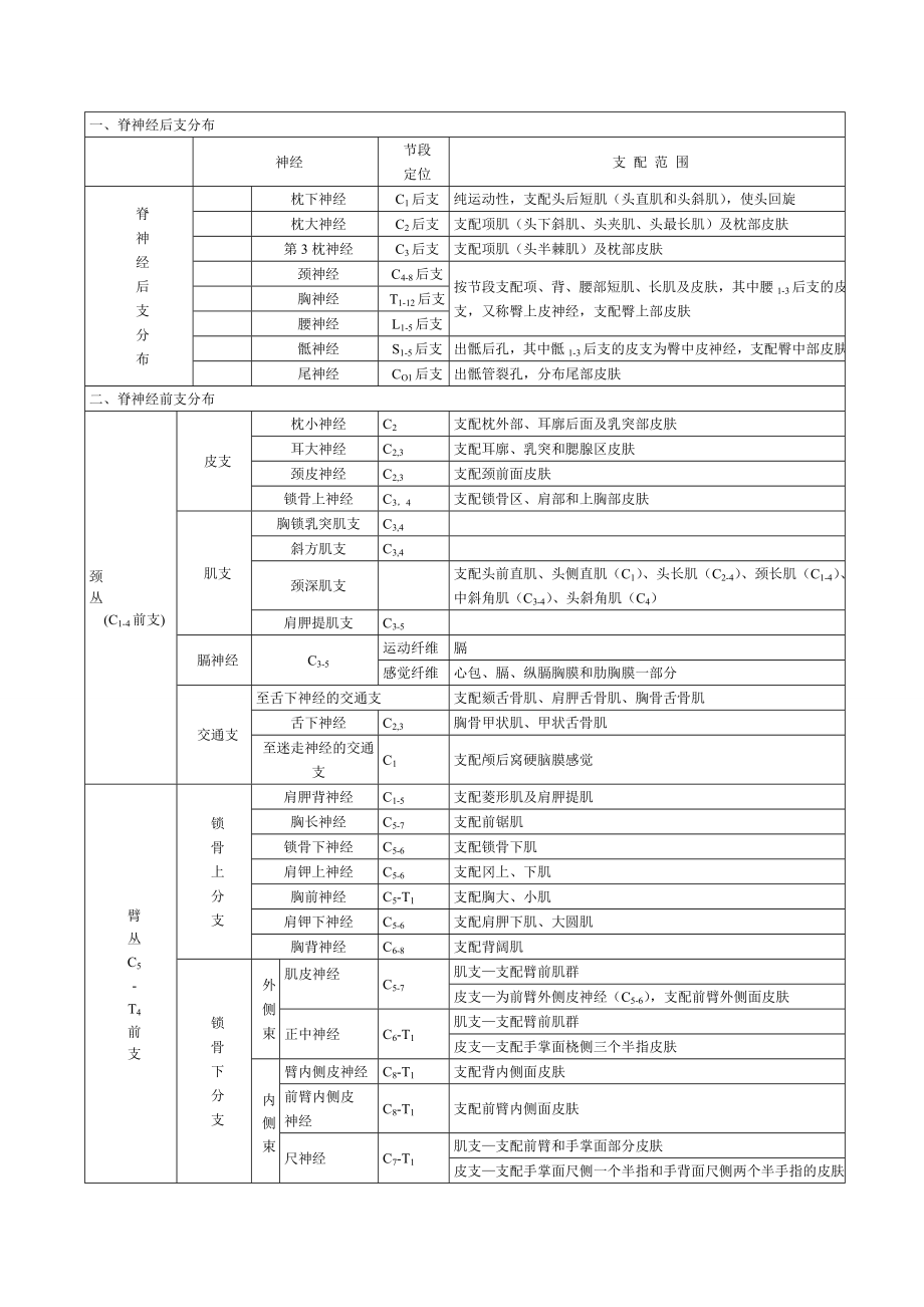 脊神经支配图.doc_第1页