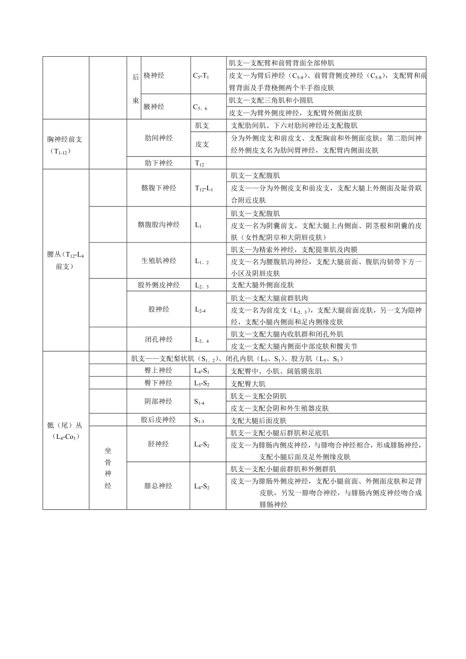 脊神经支配图.doc_第2页