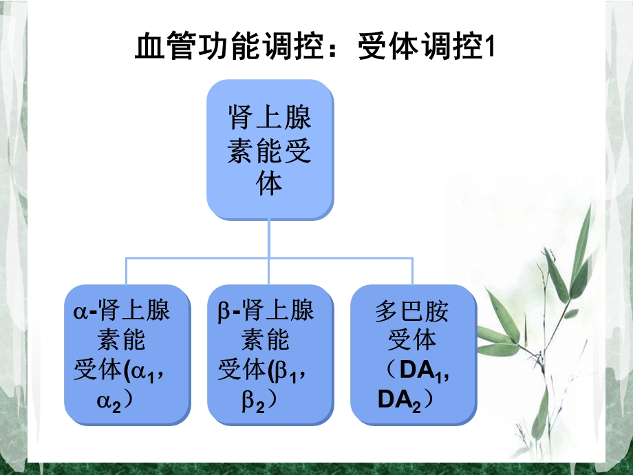 围术期常用的血管活性药物课件.ppt_第3页