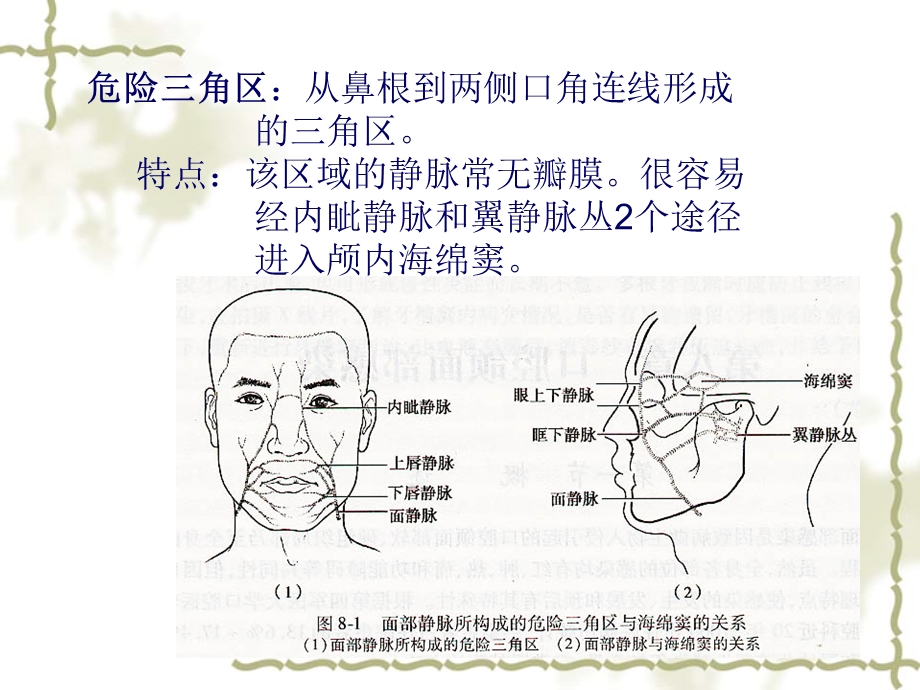 颌面部间隙感染新解课件.ppt_第2页