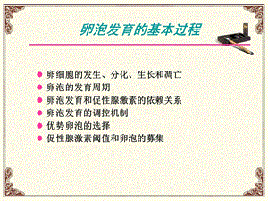 卵泡监测和促排卵课件.ppt