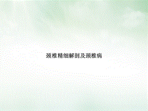 颈椎精细解剖及颈椎病ppt课件.ppt