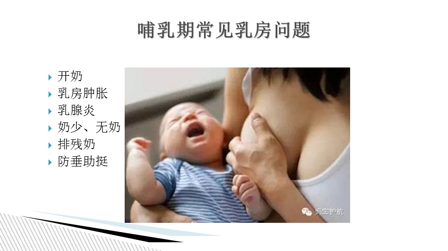 哺乳期常见乳房问题培训ppt课件.ppt_第3页