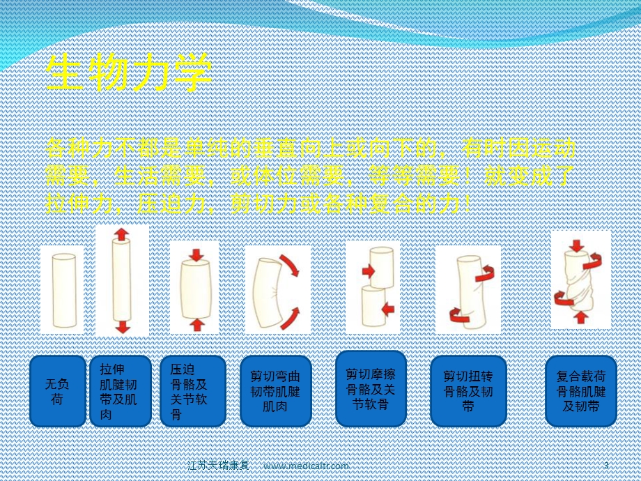 医学下肢生物力学矫形之长短腿培训ppt课件.ppt_第3页