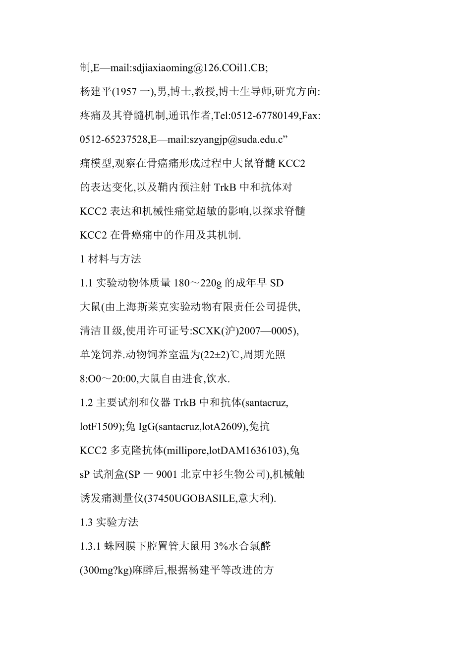 [word doc]骨癌痛大鼠脊髓背角KCC2的表达及可能机制.doc_第3页