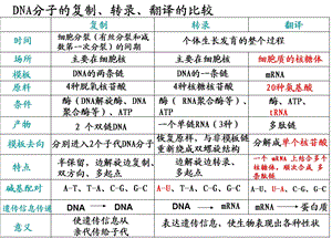 基因表达的调控、中心法则、性状的控制全解课件.ppt