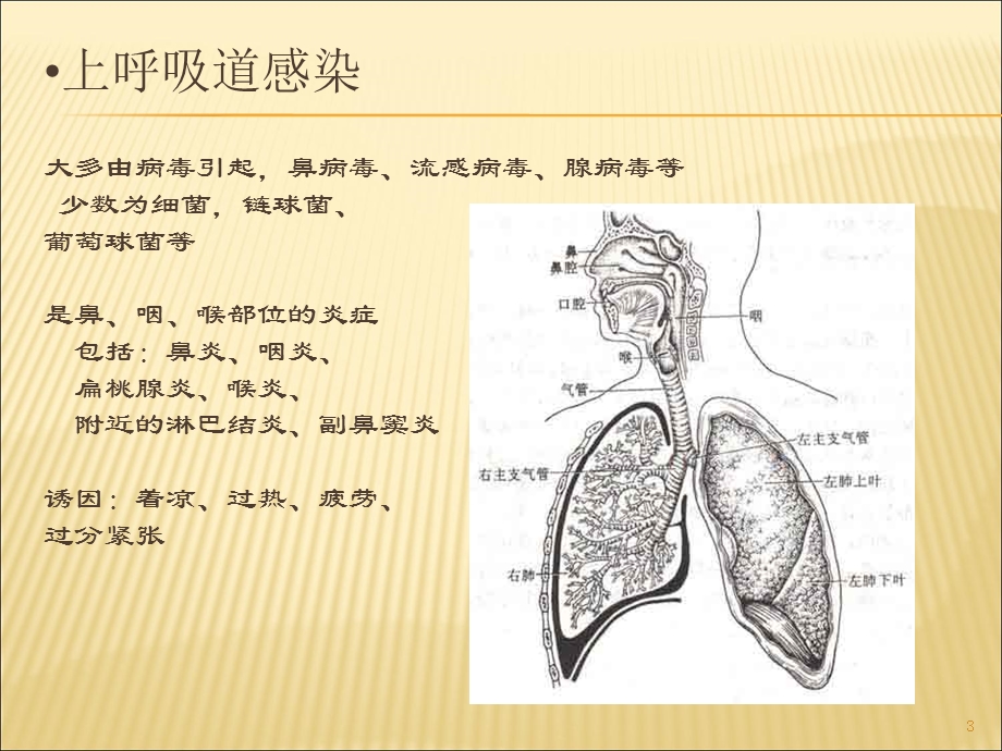 高级育婴师常见疾病培训ppt课件.ppt_第3页