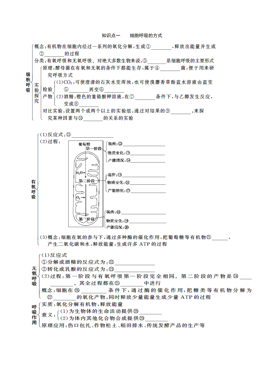 细胞呼吸讲义全面.doc_第1页